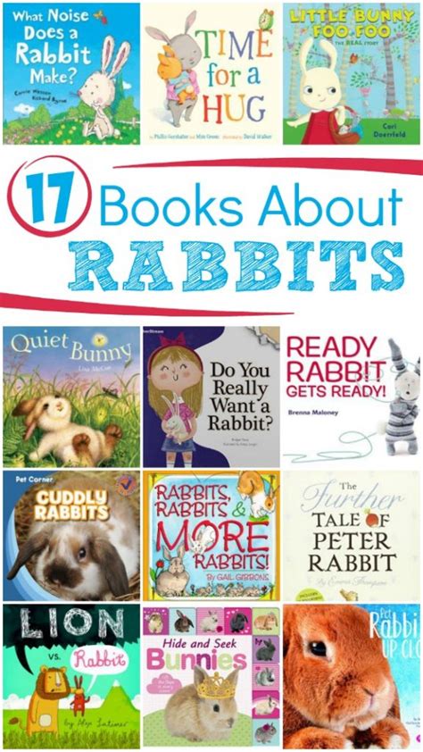 The magical rabbit book